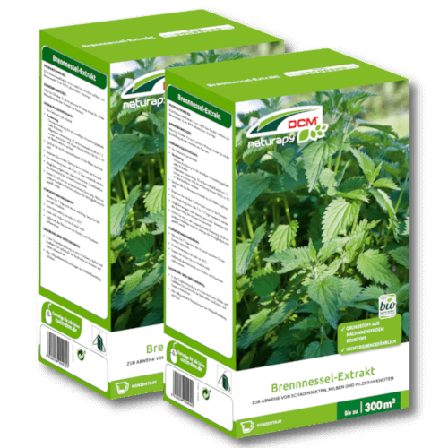 DCM Naturapy Brennnessel-Extrakt