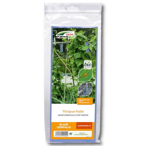 DCM Naturapy Thrips-Falle