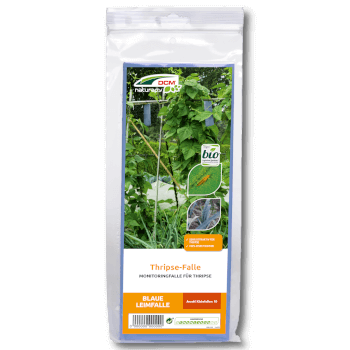 DCM Naturapy Thrips-Falle