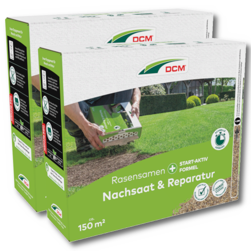 DCM Rasensamen Nachsaat & Reparatur