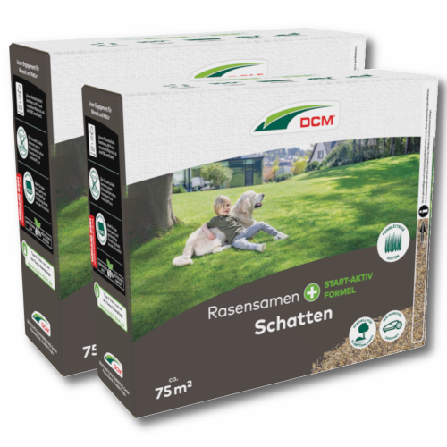 DCM Rasensamen Schatten