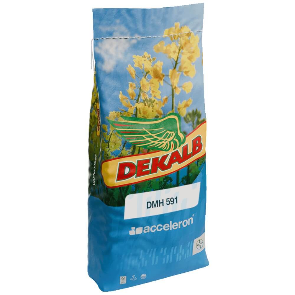 DEKALB Winterraps Saatraps DMH 591, 1 Einh. Buteo Beize