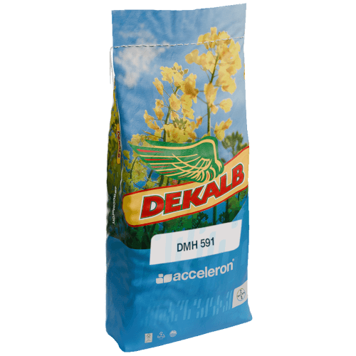 DEKALB® Winterraps Saatraps DMH 591