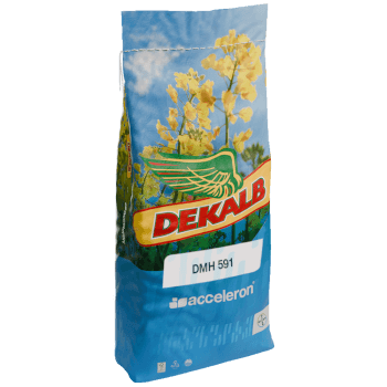 DEKALB® Winterraps Saatraps DMH 591