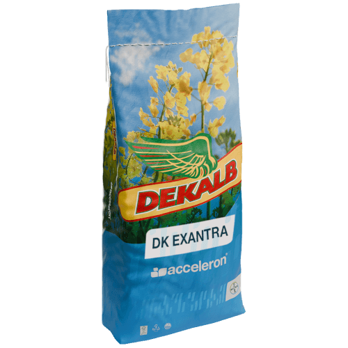DEKALB® Winterraps Saatraps EXANTRA