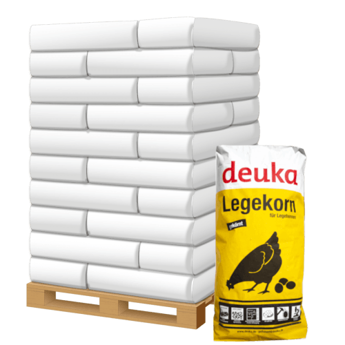 Deuka Legekorn