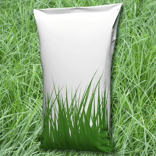 Deutsches Weidelgras (Lolium perenne) 