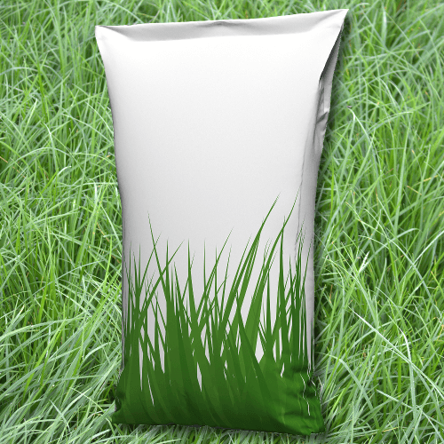 Deutsches Weidelgras (Lolium perenne) 