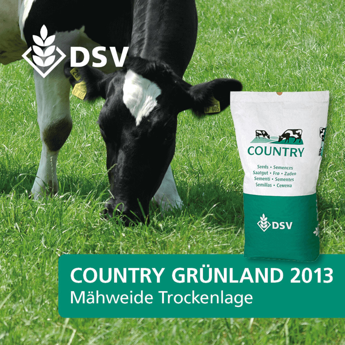 DSV COUNTRY Grnland 2013 Mhweide Trockenlage