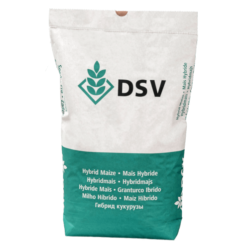 DSV Saatmais Armoreen