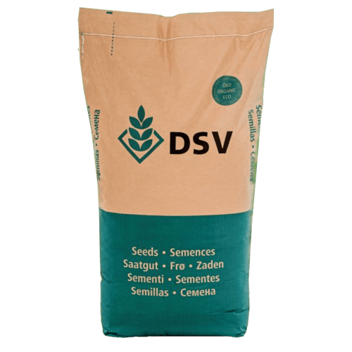 DSV Saatmais FLYNT ÖKO