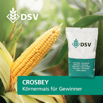 DSV Saatmais Silomais Körnermais CROSBEY