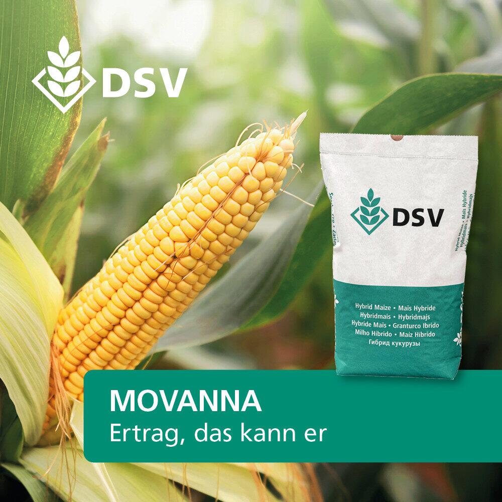 DSV Saatmais MOVANNA S 220 / ca.K 210 1 Einh. Standardbeize Silomais