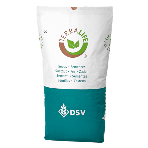 DSV TerraLife® SoilProtect Zwischenfruchtmischung