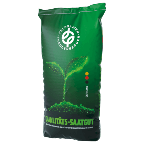 Einjähriges Weidelgras