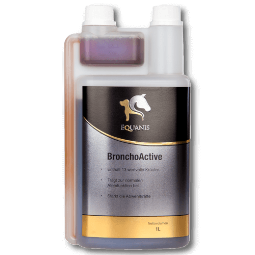 Equanis BronchoActive