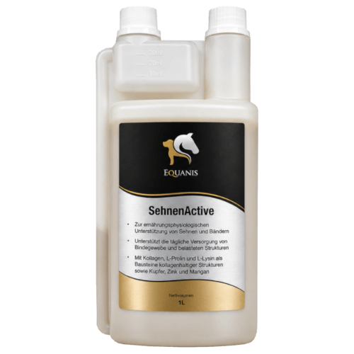 Equanis SehnenActive