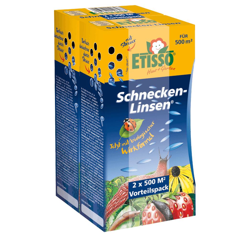 ETISSO Schnecken-Linsen