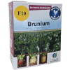 Futterrüben Rübensaatgut BRUNIUM50 TK / Beize: Activ+Force20