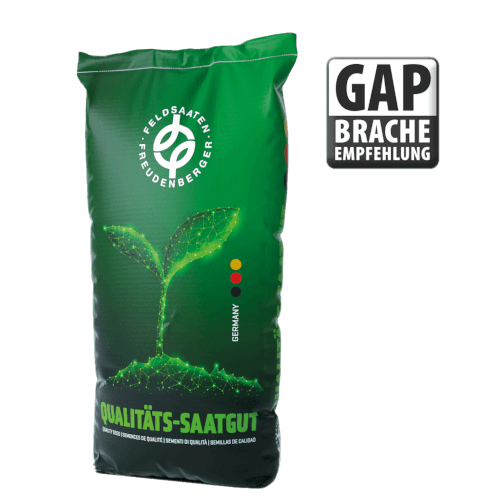 GB 9 Dauer- und Rotationsbrache