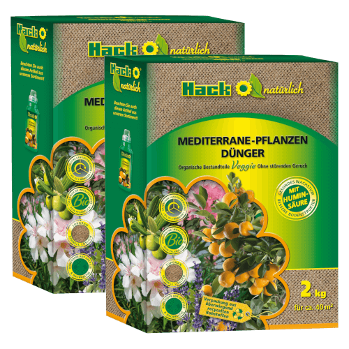 HACK-Bio Mediterrane Pflanzen
