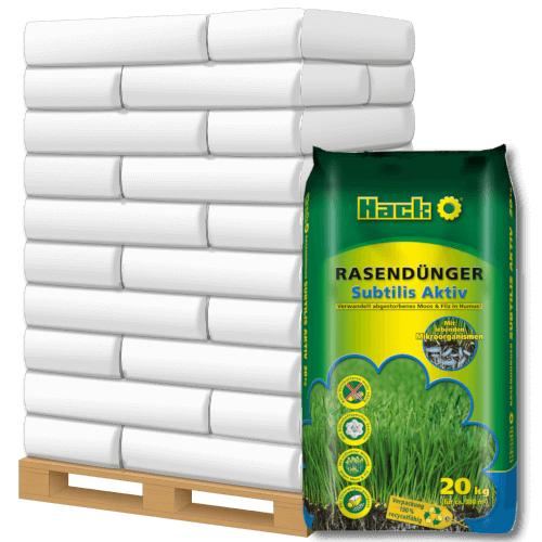 HACK Rasendünger Subtilis Aktiv