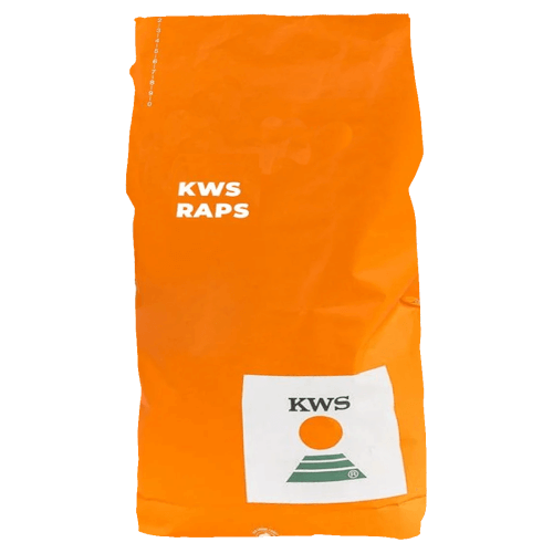 KWS® Winterraps Saatraps ALLESANDRO