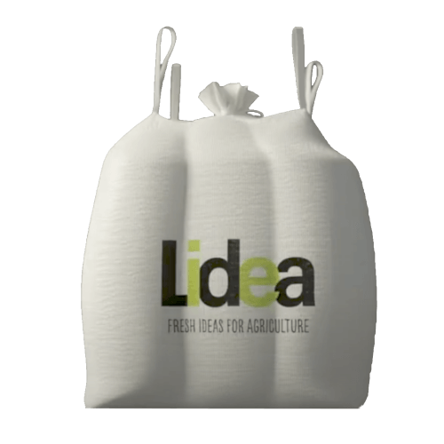 Lidea Mais Friendli CS 