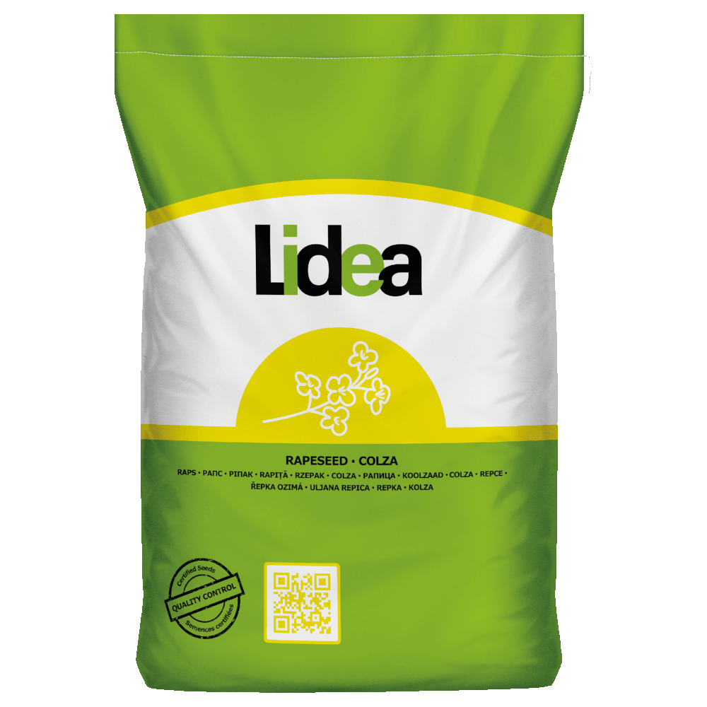 Lidea Raps Amoroso Scenic® Gold +Lumiposa®