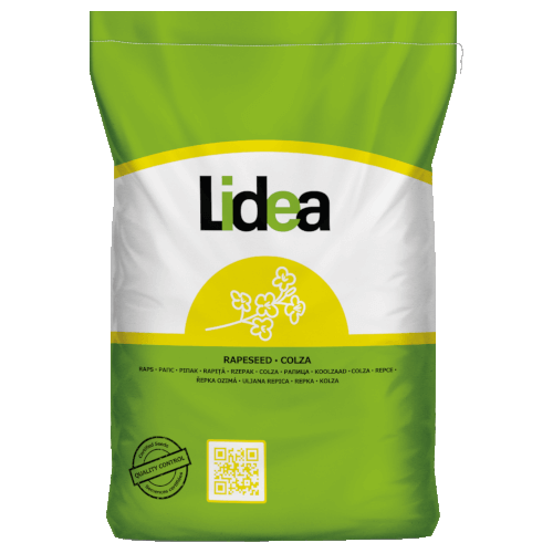 Lidea Raps Amoroso Scenic® Gold +Lumiposa®