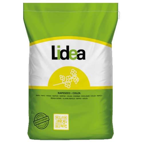 Lidea Raps ES Alegria Scenic® Gold +Lumiposa®