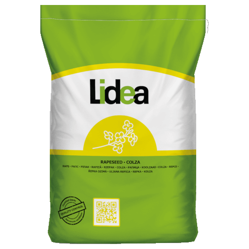 Lidea Raps ES Vito Scenic® Gold +Lumiposa®