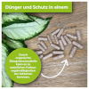 40 Stück