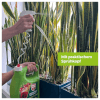 3 l