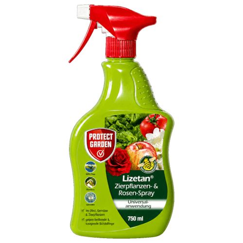 Lizetan Zierpflanzen- & Rosen-Spray AF
