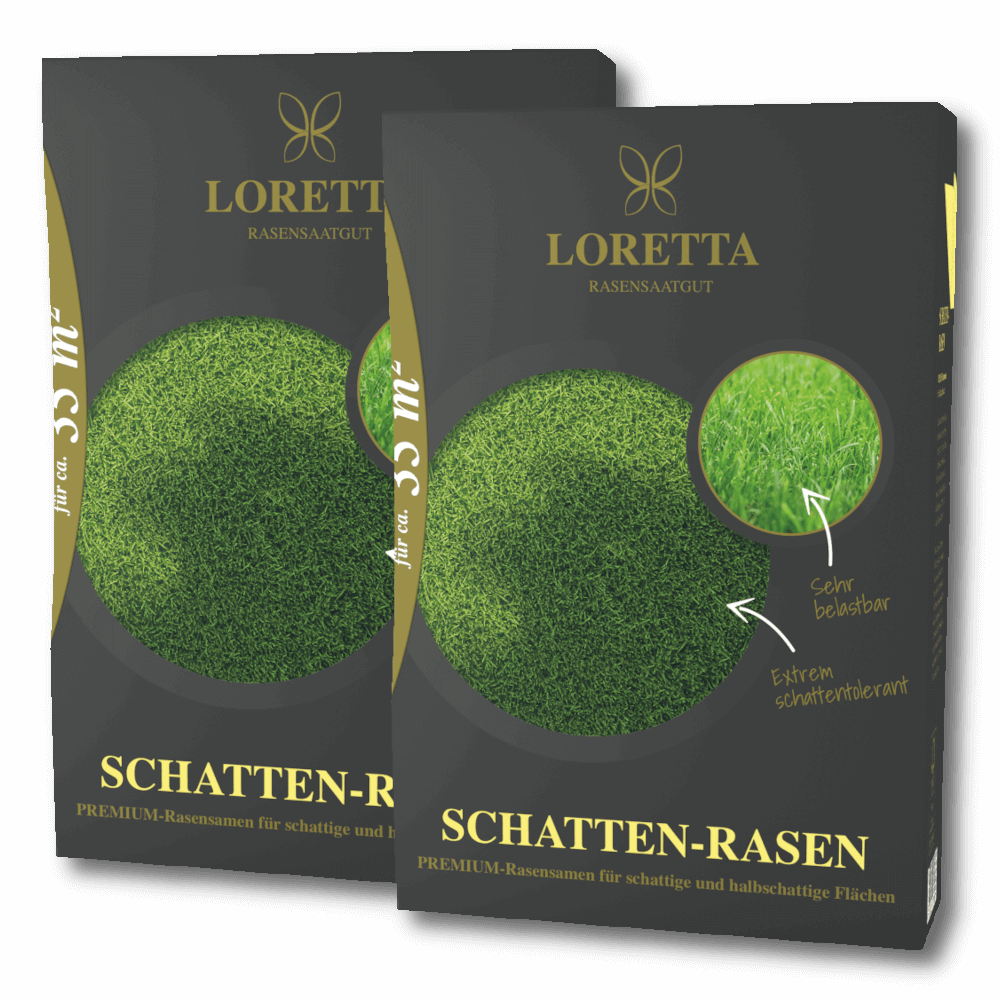 Loretta Schatten-Rasen Premium mit Poa supina