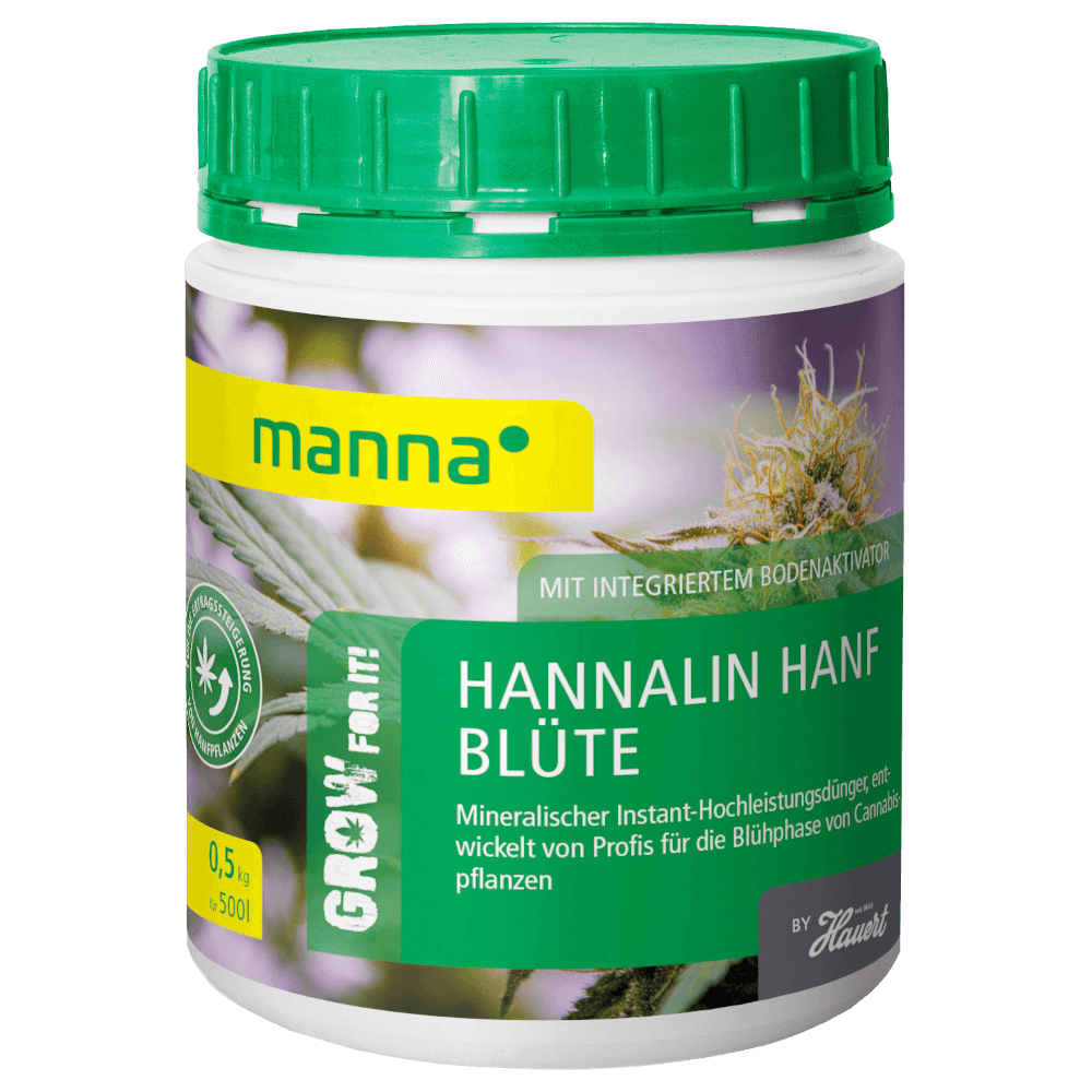 Manna Hannalin Hanf Blüte