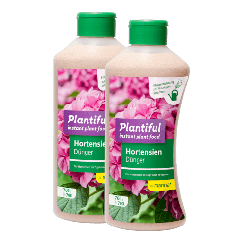 Manna Plantiful Hortensien