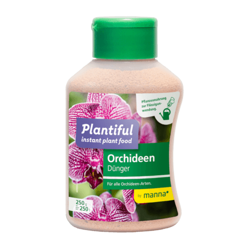 Manna Plantiful Orchideen