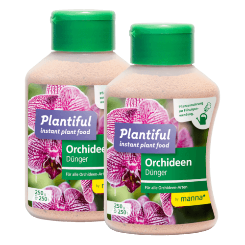 Manna Plantiful Orchideen