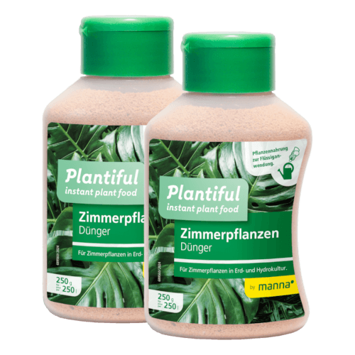 Manna Plantiful Zimmerpflanzen