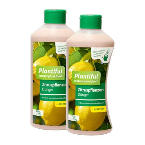 Manna Plantiful Zitrus