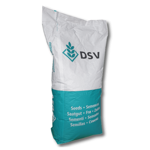 MehrGras Dauerweide Standard G V RHT