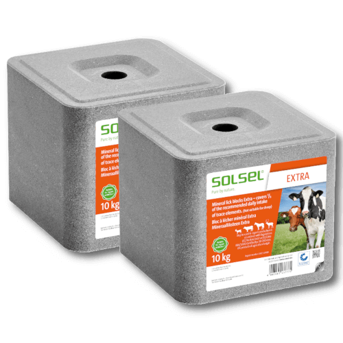 Mineralleckstein Extra