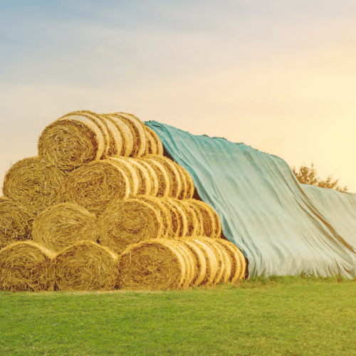 ProTex Schutzvlies Stroh-, Heuballen- und Getreideschutz