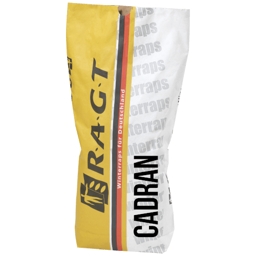 RAGT Winterraps Saatraps CADRAN