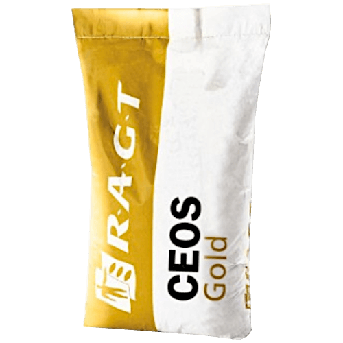 RAGT Winterraps Saatraps CEOS GOLD