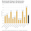 1 Einh. Standard Beize