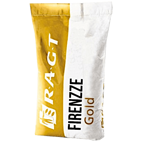 RAGT Winterraps Saatraps FIRENZZE GOLD