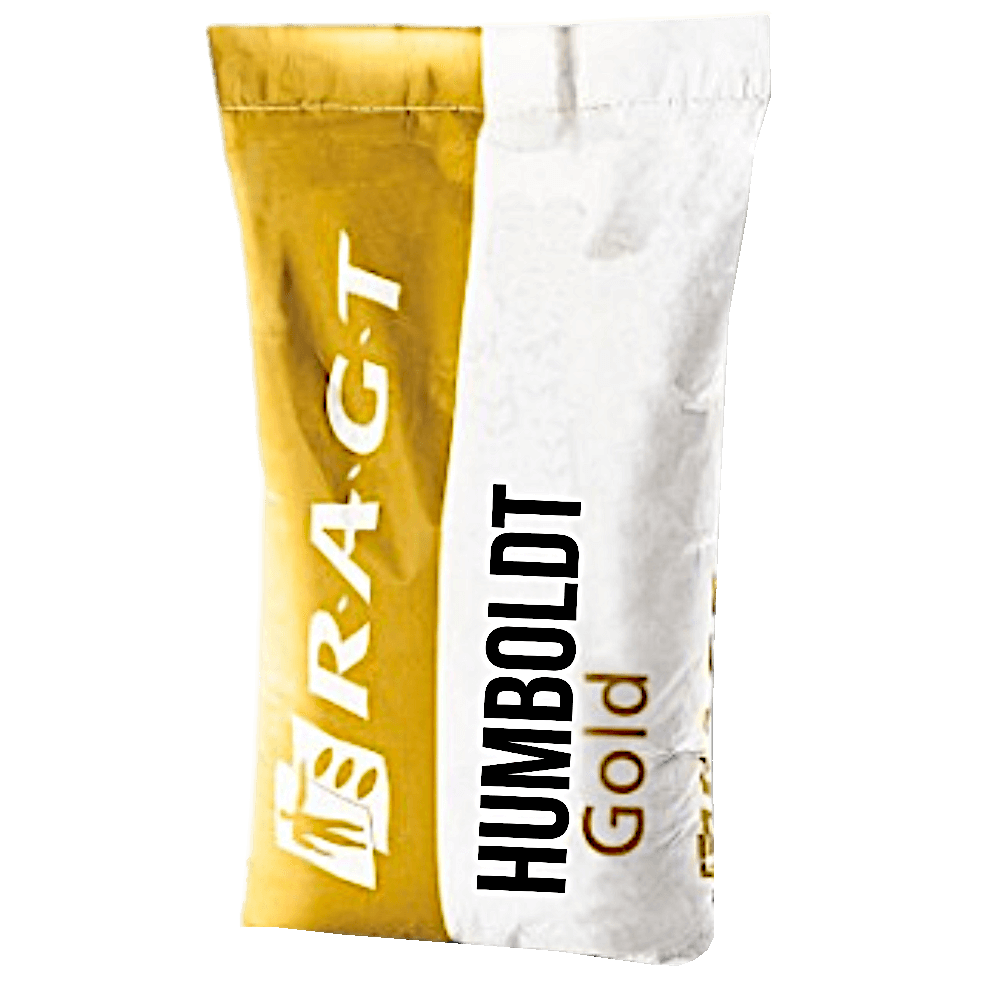 RAGT Winterraps Saatraps HUMBOLDT GOLD